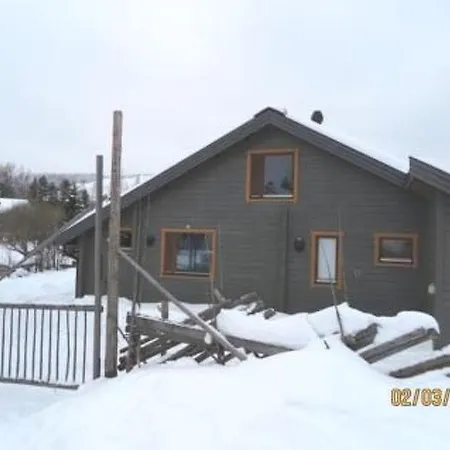 Holiday Mikkola *